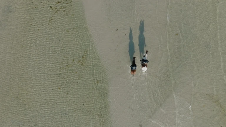 Reiterhof Boltenhagen